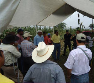 Presentacion_en_Parcela_Demostrativa_honduras_2.JPG