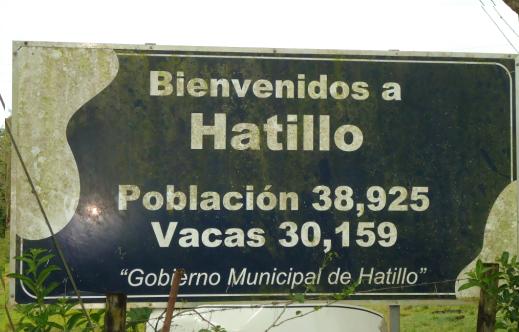 HATILLO.JPG